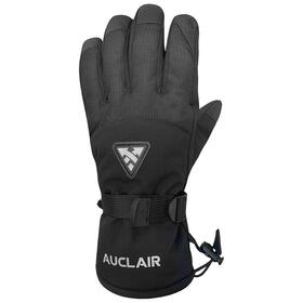 Afbeelding van BREEZY JR 